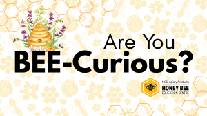 Are You BEE-Curious?