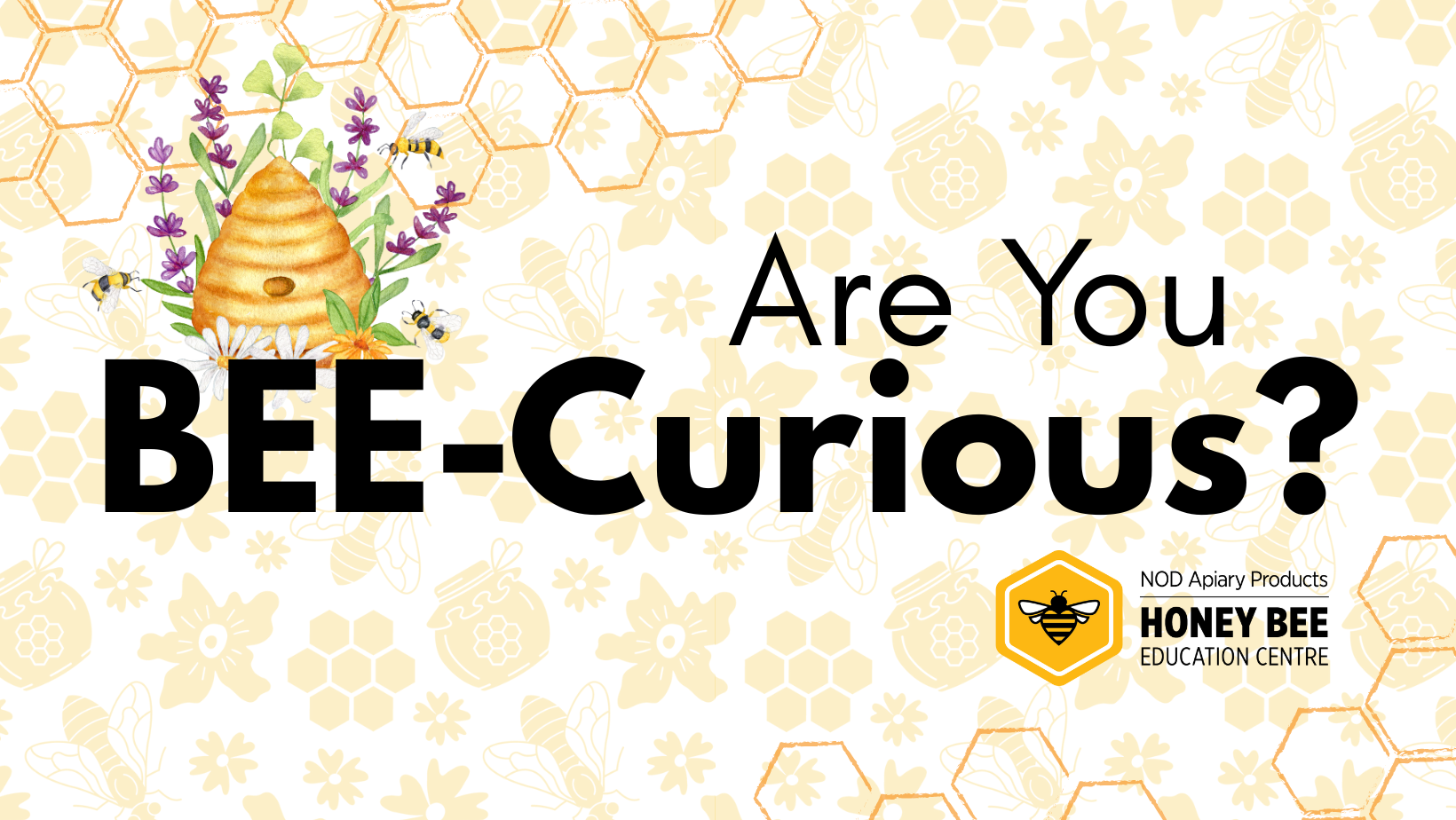 BEE-Curious Feature Image Are You BEE-Curious?