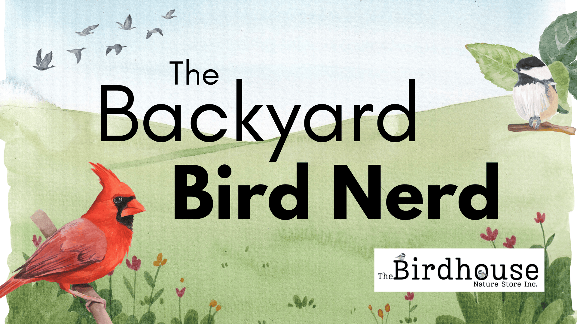 The Backyard Bird Nerd