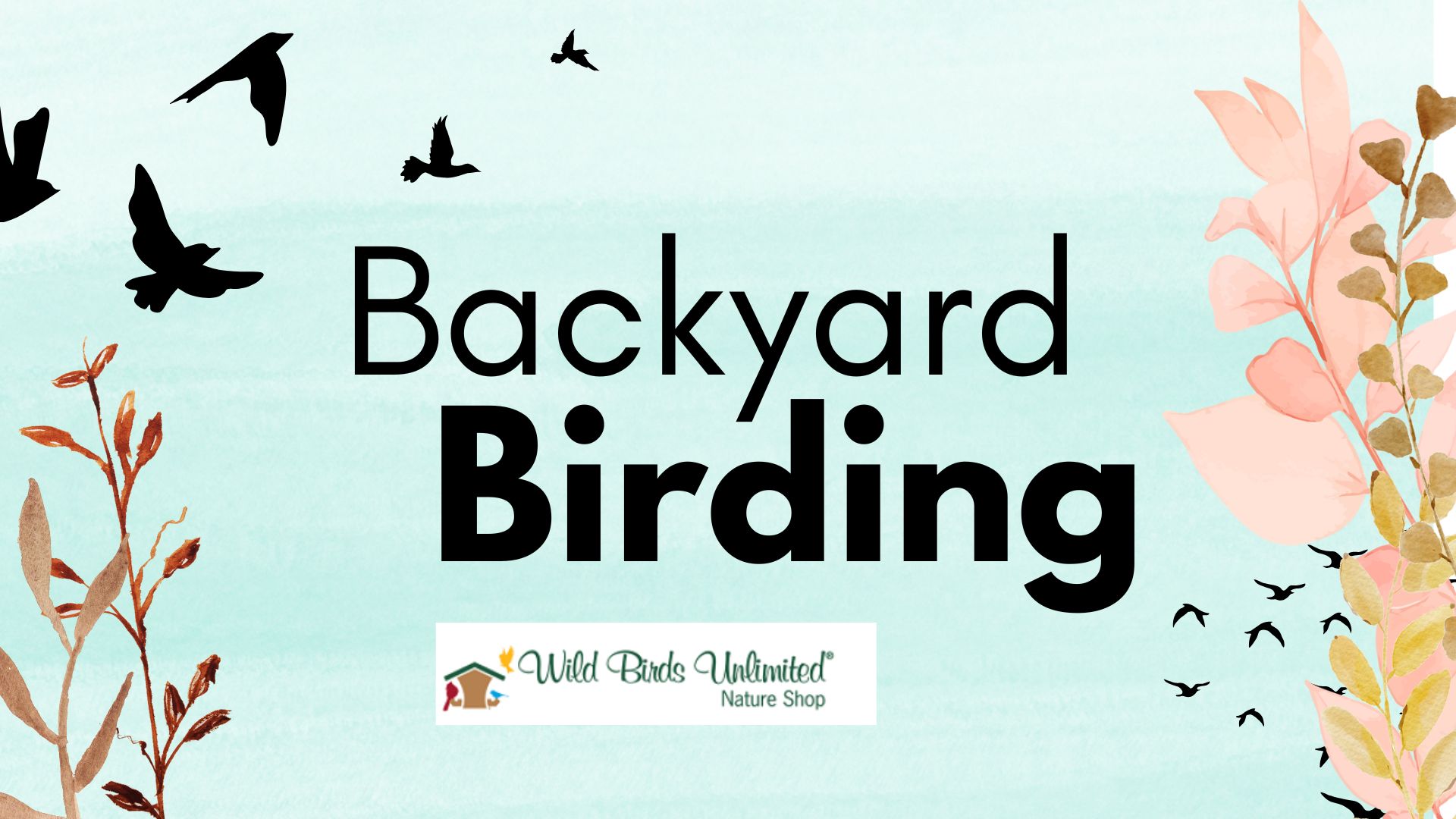 Backyard Birding Feature image Backyard Birding