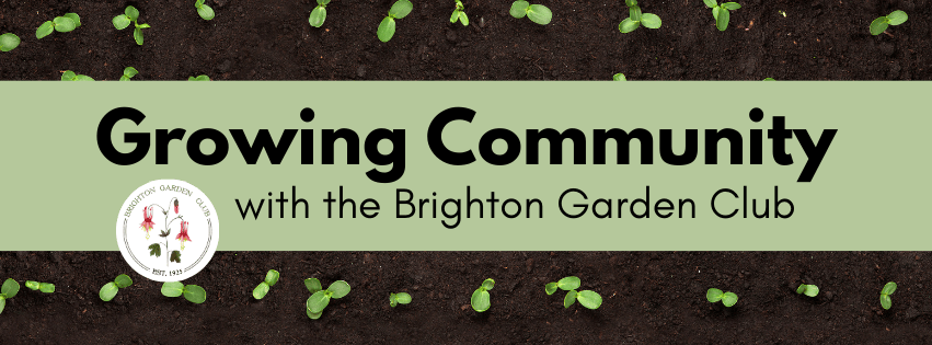 Growing Community with the Brighton Garden Club