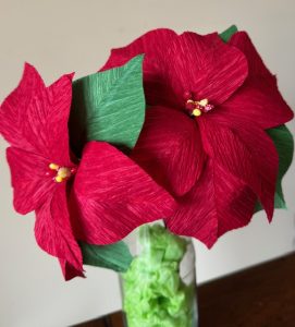 Poinsettia samples