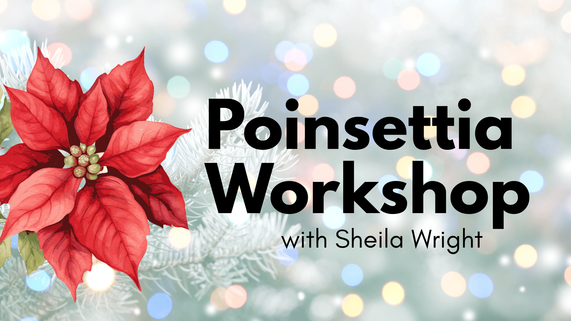 Poinsettia Workshop Poinsettia Workshop
